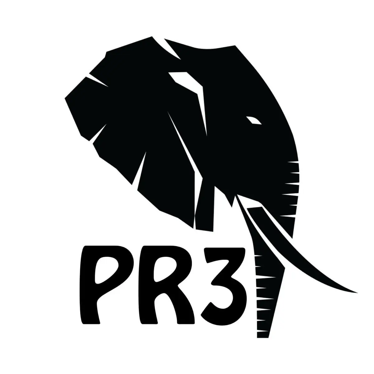 PR3 Digital Marketing Team